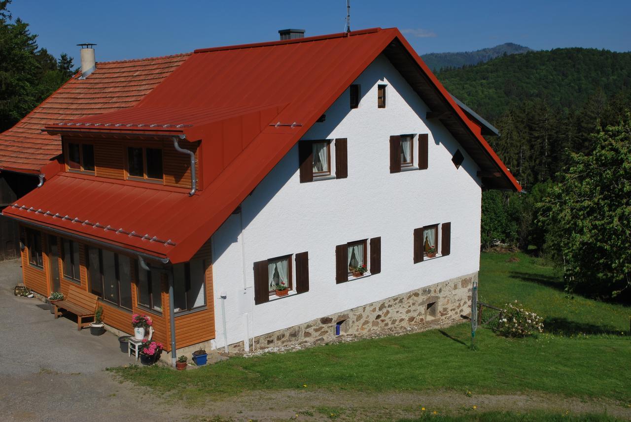 Ferienhaus "Lisa'S Haeusl" Нойшёнау Экстерьер фото